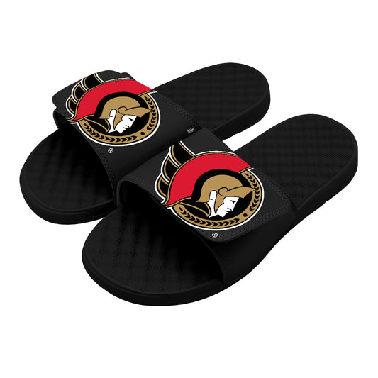 Ottawa Senators Blown Up Slides