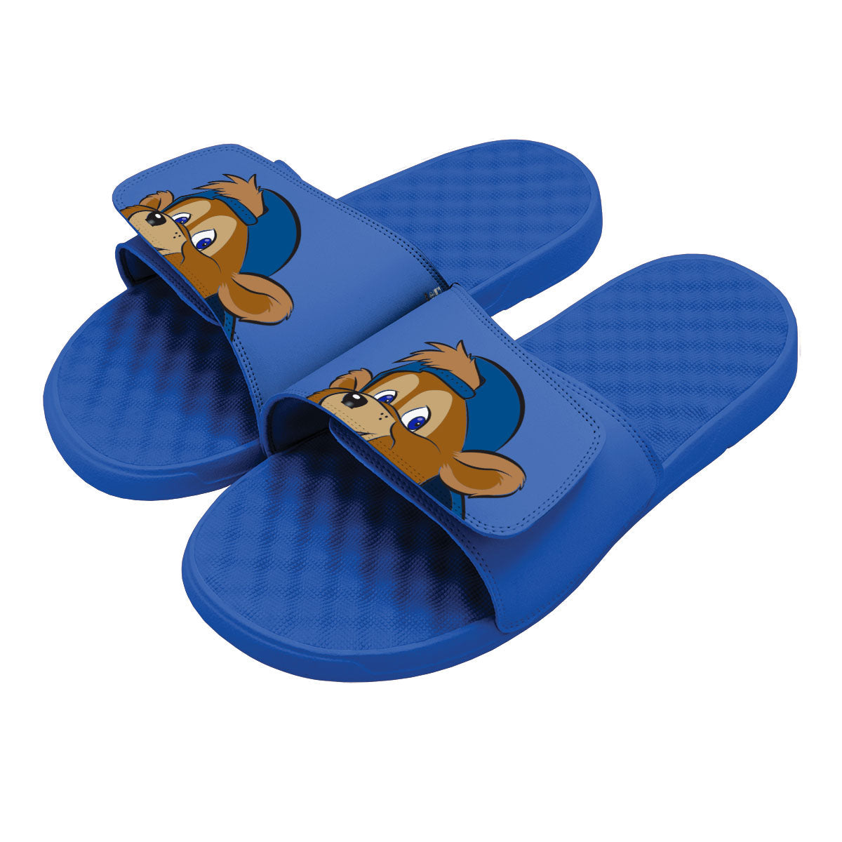 Chicago Cubs Mascot Slides