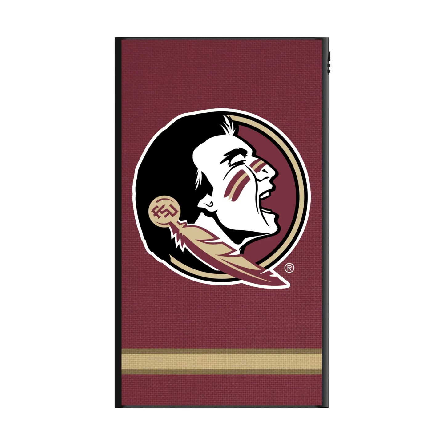 Florida State University Seminoles Stripe 5000mAh Flat Powerbank