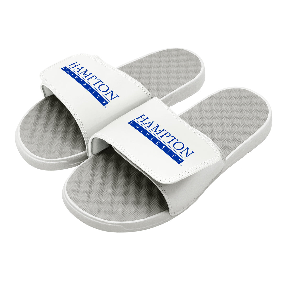 Hampton University Slides