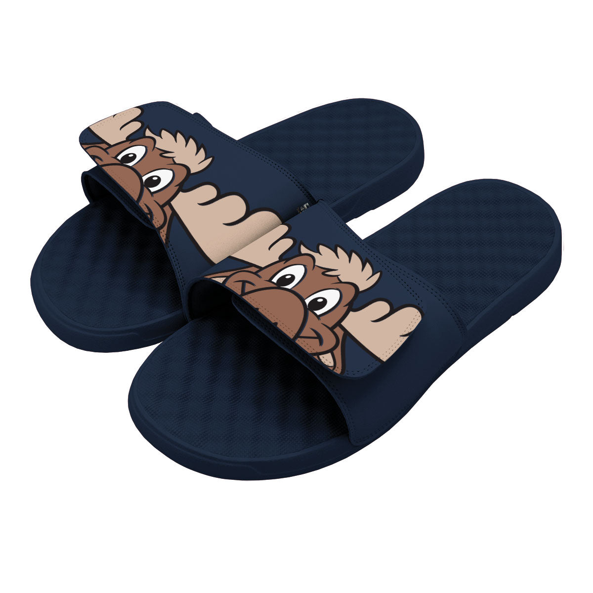 Seattle Mariners Mascot Slides