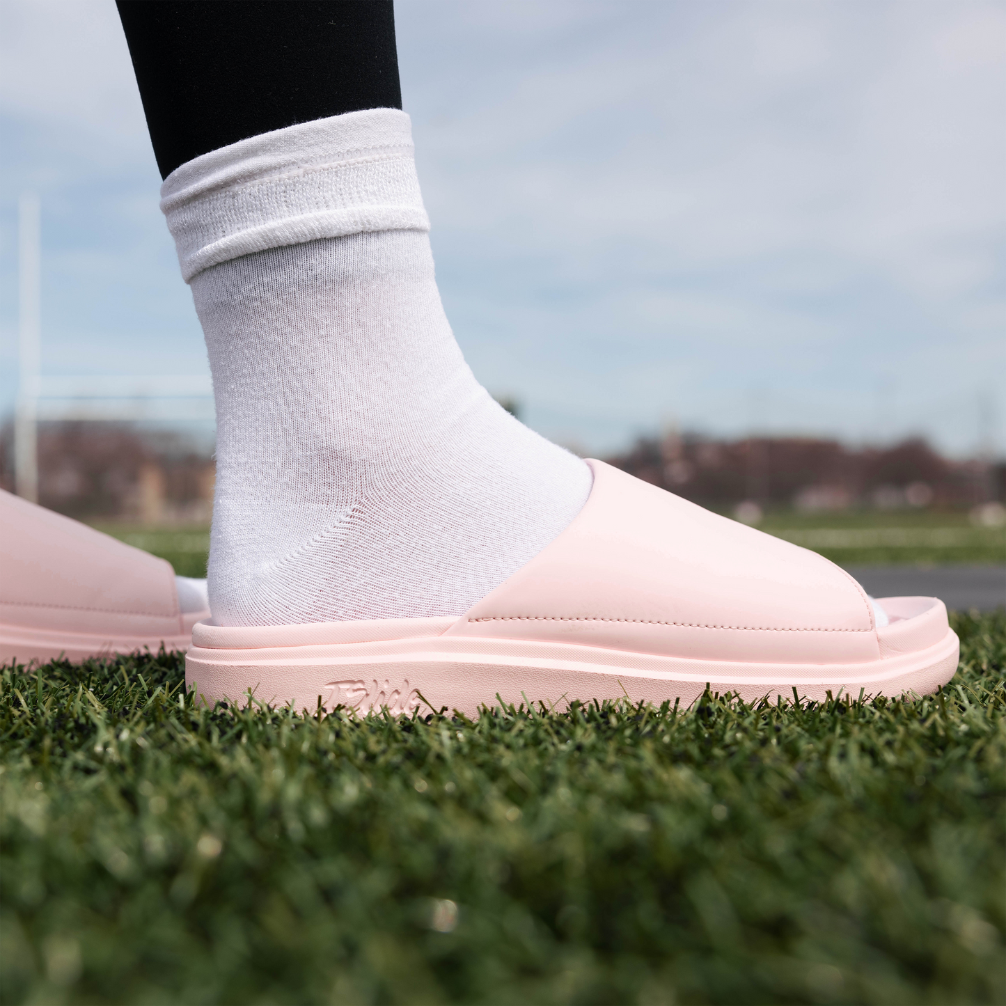 Colorado Buffaloes Primary Motive