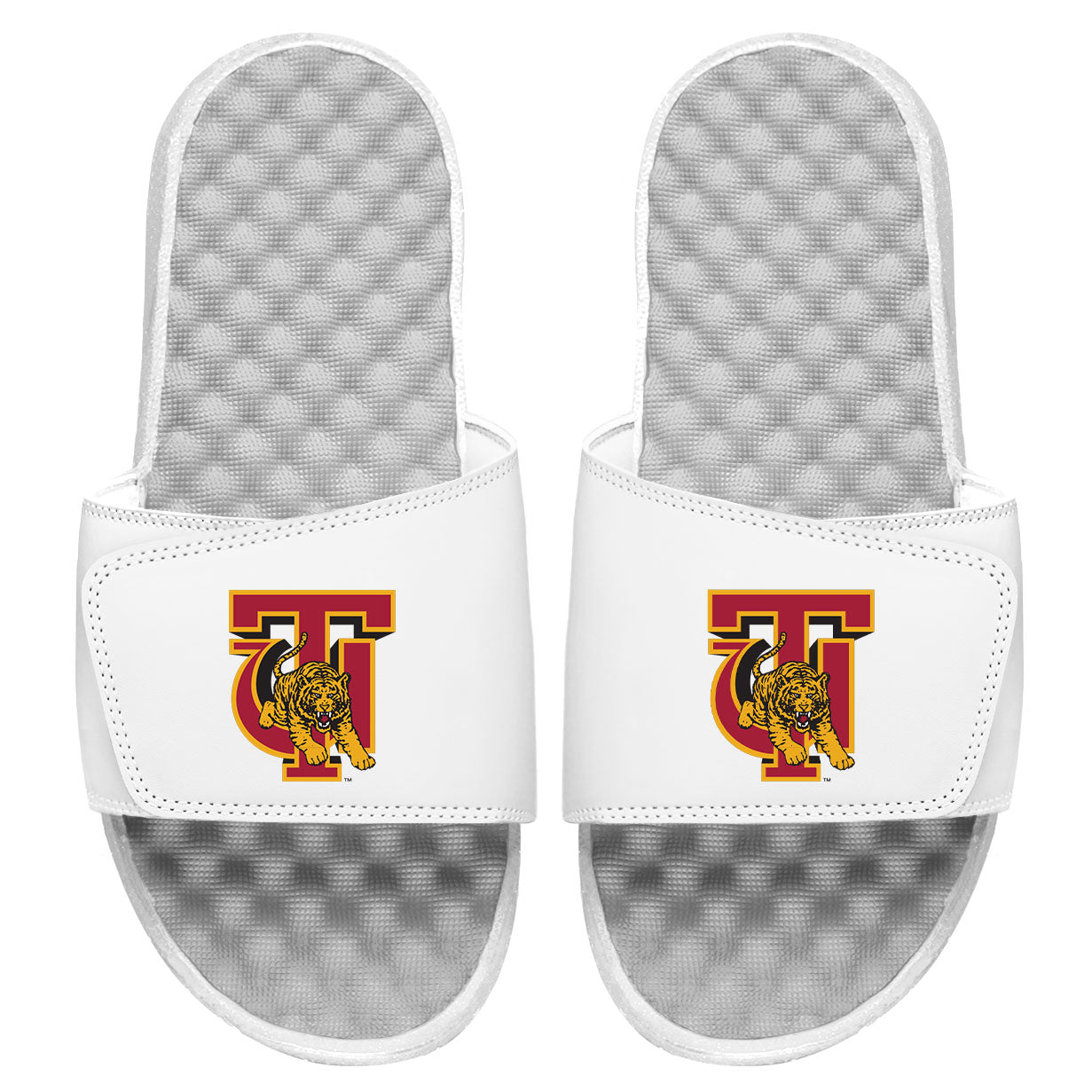 Tuskegee Primary Slides