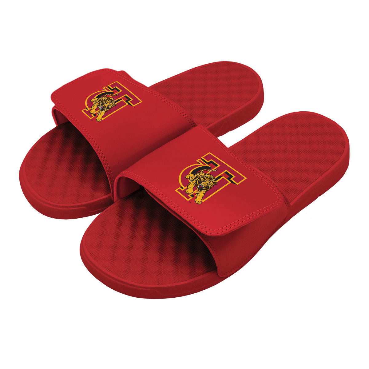 Tuskegee Primary Slides