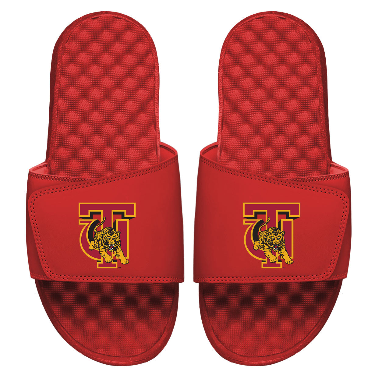 Tuskegee Primary Slides