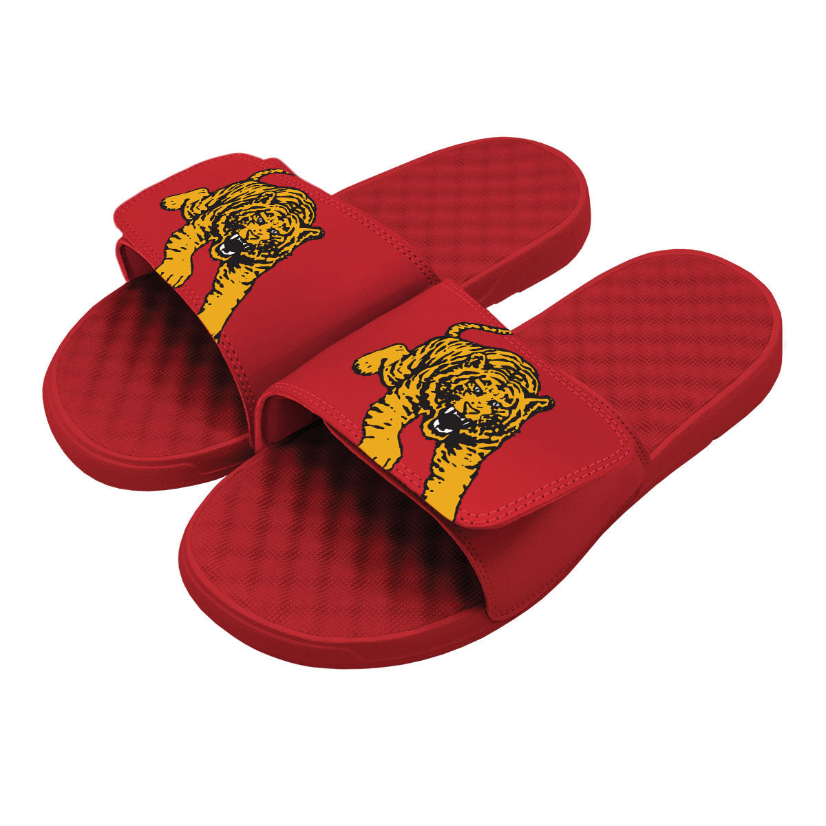 Tuskegee Tiger Blown Up Slides