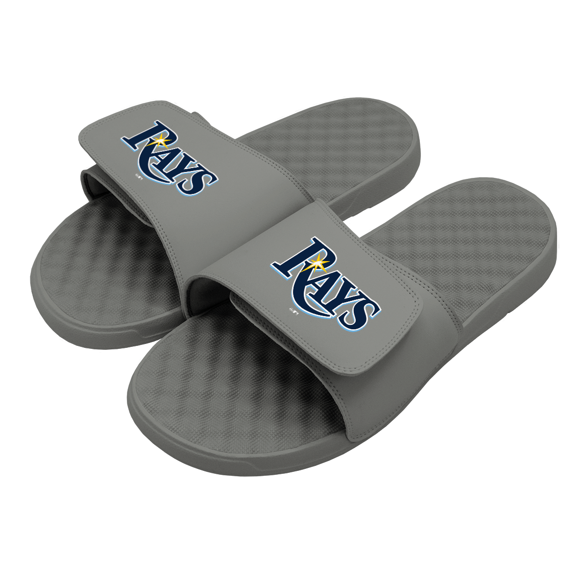 Tampa Bay Rays Primary Slides