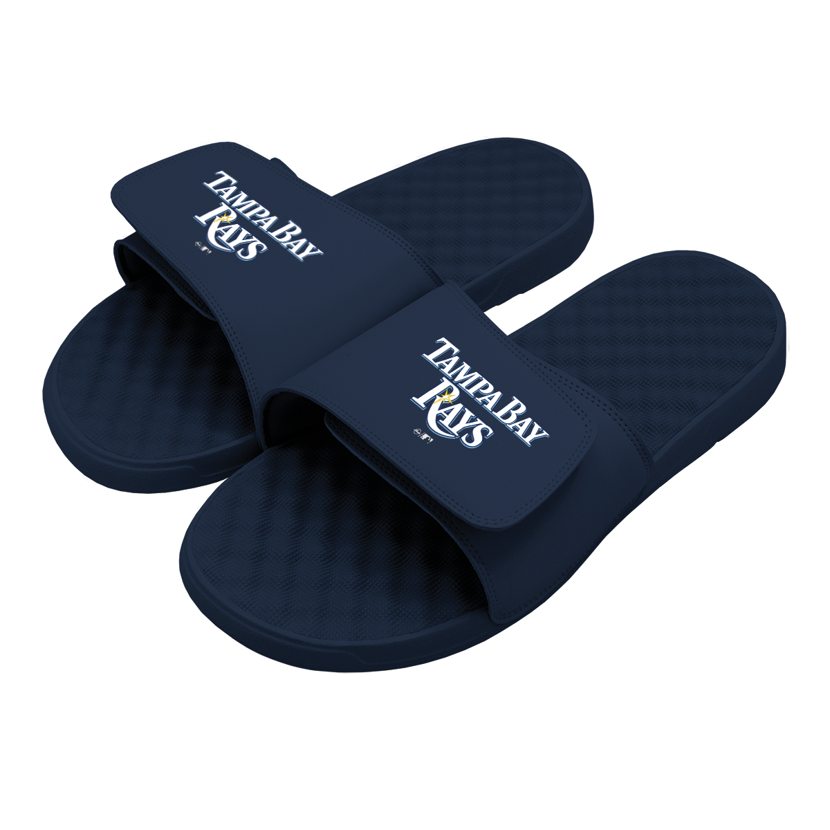 Tampa Bay Rays Wordmark Slides