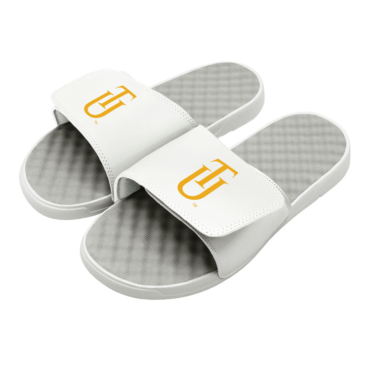 Tuskegee Logo Slides