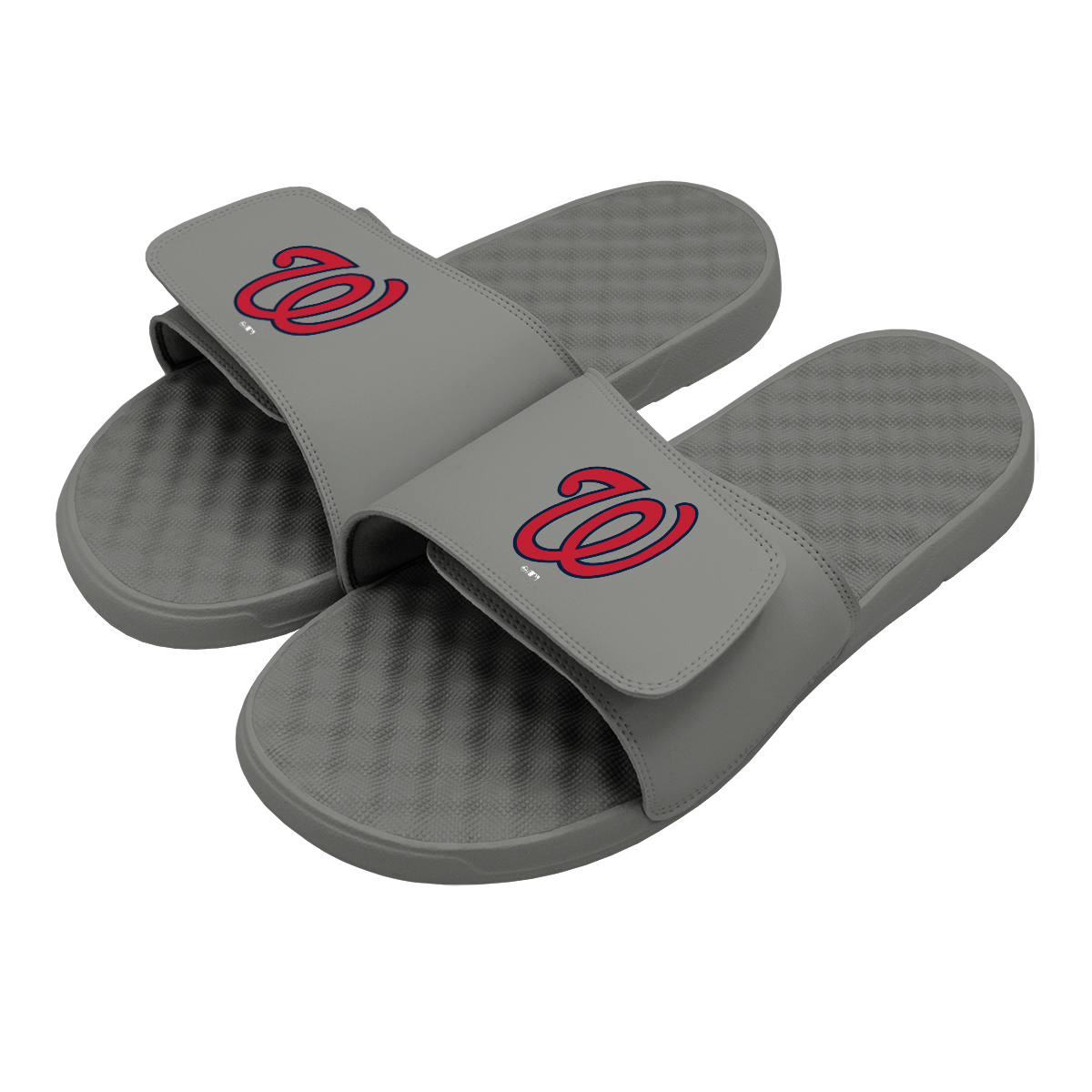 Washington Nationals Alternative Slides